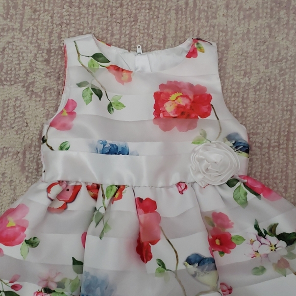 Dress - Picture 2 of 2